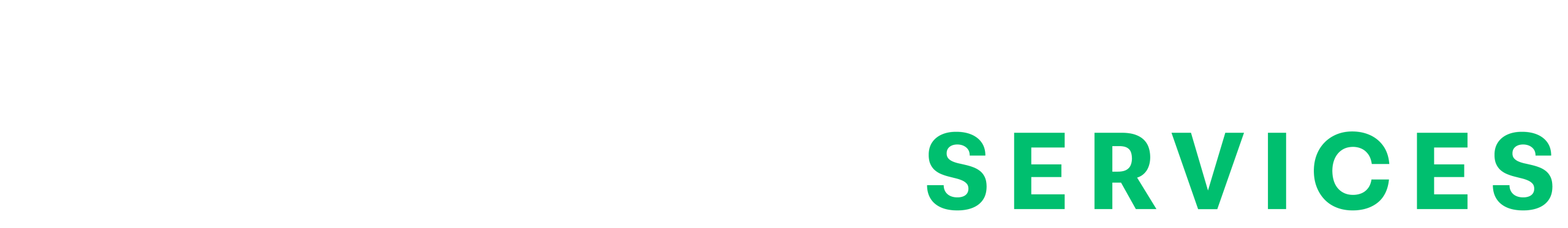 Road Mobility Services